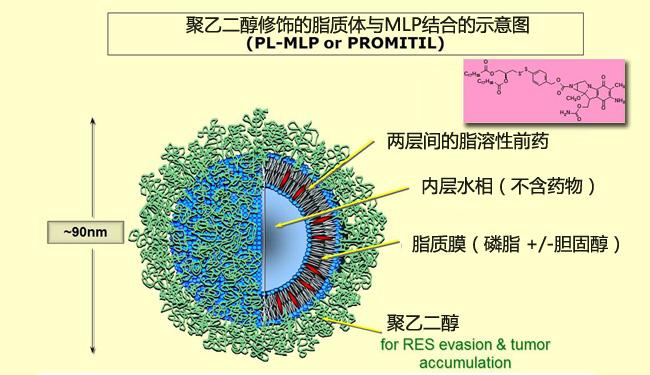 高分子材料定制