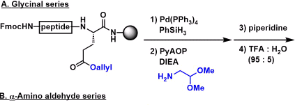 PLGA聚（D,L-丙交酯-co-乙交酯）聚乙二醇-马来酰亚胺 聚乳酸-羟基乙酸共聚物-聚乙二醇-马来酰亚胺