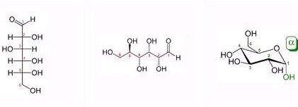 RGD肽修饰的pH响应型中空介孔二氧化硅纳米粒子