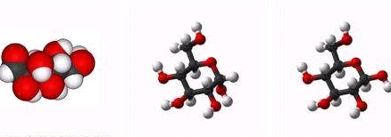 （蛋白质、糖类、核酸）生物分子修饰的介孔二氧化硅纳米粒子 定制合成