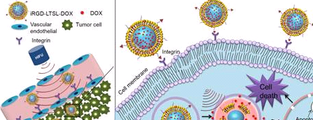 DSPE-PEG-Glucose 二硬脂酰基磷脂酰乙醇胺-聚乙二醇-葡萄糖  磷脂改性PEG葡萄糖