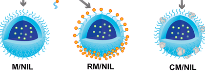 HL-7702正常肝细胞膜复合纳米脂质体|红细胞膜包被的雷公藤甲素-红素仿生共载脂质体（齐岳生物）