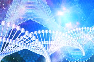 载药细菌外膜囊泡（Outer Membrane Vesicles, OMV)