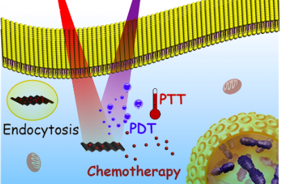 载药重组高密度脂蛋白纳米颗粒(reconstituted high density lipoprotein ,rHDL)