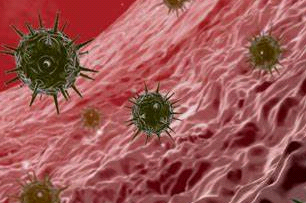 PEG化脂质体（PEGylated liposomes）定制合成