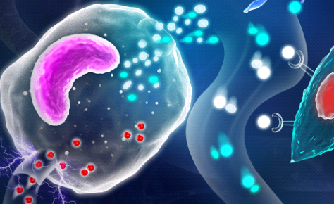 超顺磁Fe3O4 Nanorods 四氧化三铁纳米棒（100nm）