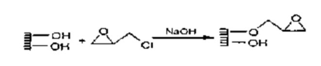 sepharose 4B