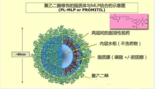 QQ截图20200927101652.png