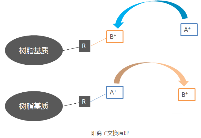 分离纯化单克隆抗体