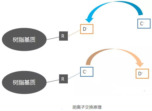 分离纯化单克隆抗体