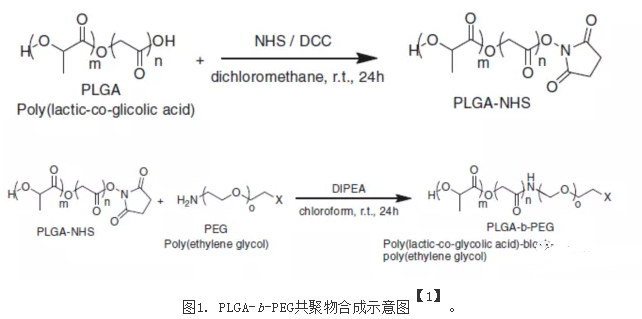 包载脂溶性**或水溶性**的PLGA-b-PEG纳米载体