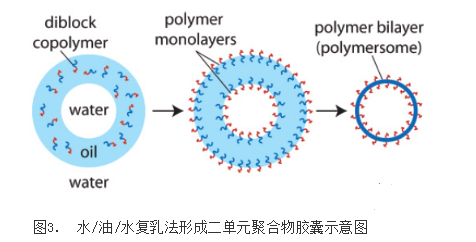 包载脂溶性**或水溶性**的PLGA-b-PEG纳米载体