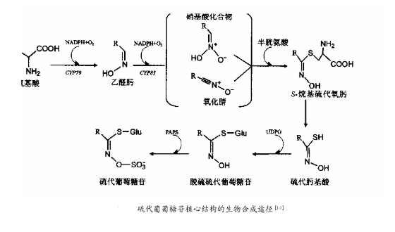 1625558612865557.png 1.png