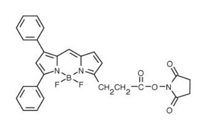 BODIPY 530/550.png