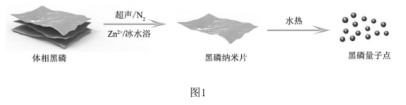 二氧化钛/黑磷量子点复合材料(TiO2/BPQDs).png