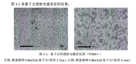 氨基修饰水溶性CdSe/ZnS量子点.png