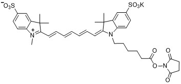 Sulfo-Cyanine 7 NHS ester.png