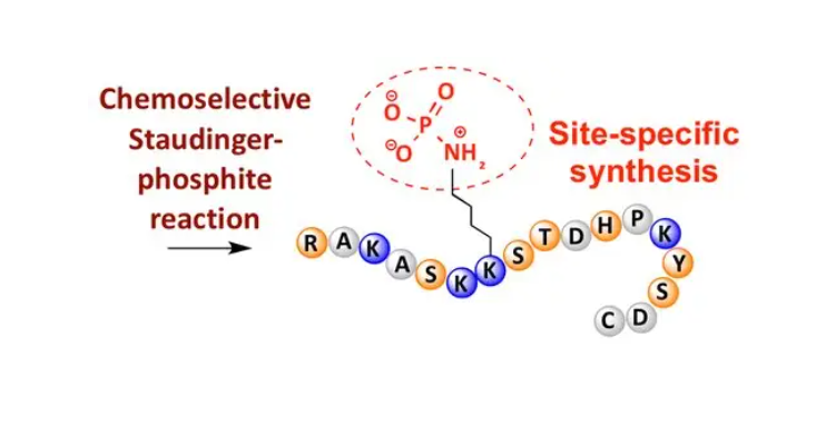 Dab-YEC-Hyp-Y(3-CL)-GVCYIQ.png