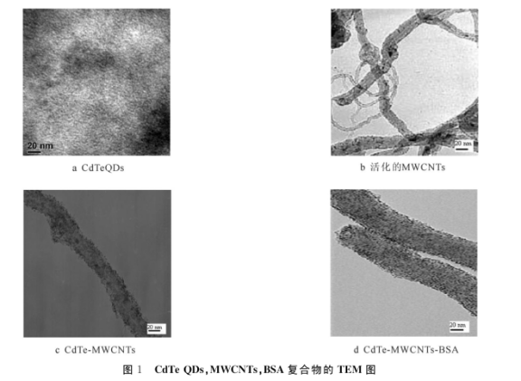 多壁碳纳米管上原位生长CdTe量子点.png