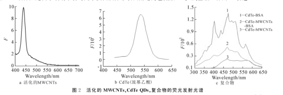 多壁碳纳米管上原位生长CdTe量子点.png