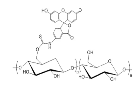 FITC-Dextran/FITC-葡聚糖(绿色荧光)