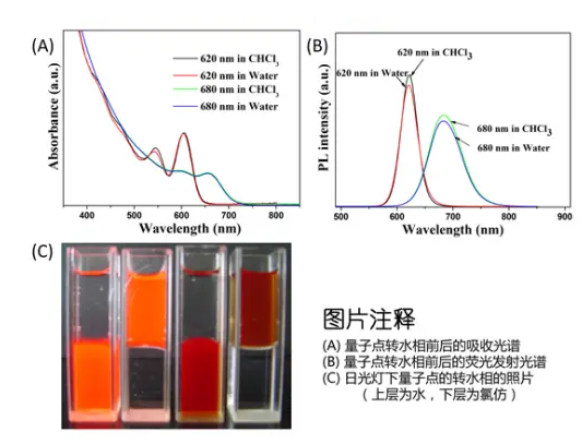 quantum dot;水溶性CdTe/CdSe/ZnS量子点;红色荧光油溶性CdTe/CdSe/ZnS量子点的合成