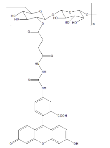 荧光标记葡聚糖