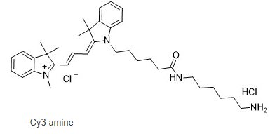 Cy3-amine,Cy3-NH2,Cy3-氨基,cas:2247688-56-6