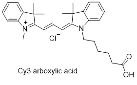 Cyanine3-羧基,Cy3-Acid,1361402-15-4,1032678-01-5,1251915-29-3