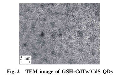 GSH-CdTe/CdSQDs