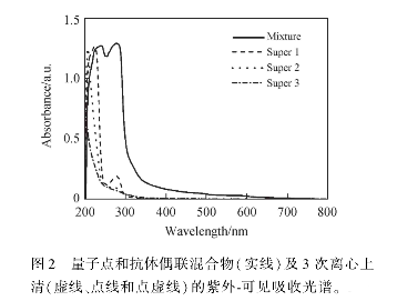 羊抗HBsAg偶联CdSe/ZnSe/ZnS量子点