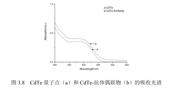 CdTe量子点