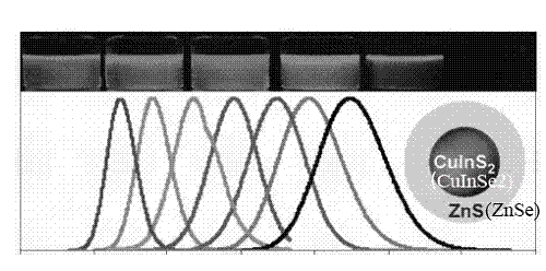 CuInS(Se)核壳量子点