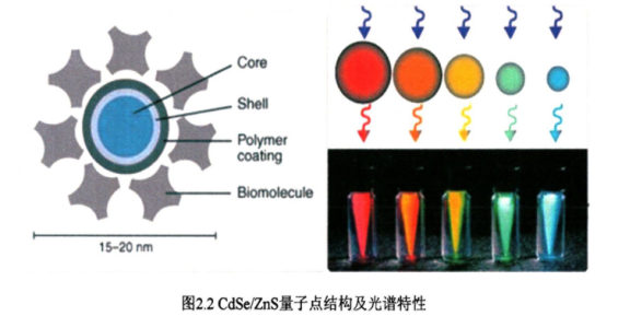 CdSe/ZnS近红外二区量子点