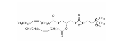 :二油酰磷脂酰乙醇胺 