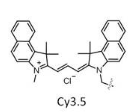 Cy3.5