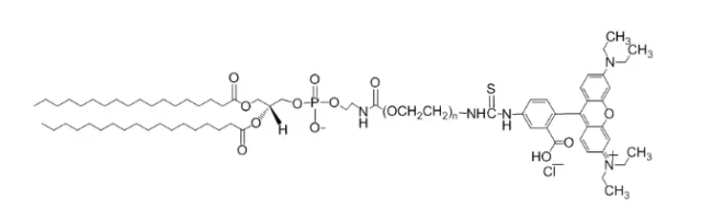 DSPE-PEG-Rhodamine B