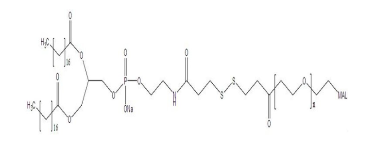 DSPE-SS-PEG2000-MAL