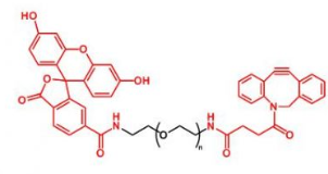 FITC-PEG-DBCO