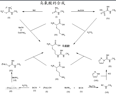 海藻酸钠-聚乙二醇-聚鸟氨酸