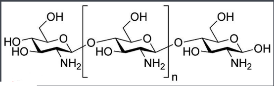 壳聚糖-马来酰亚胺