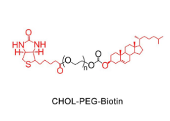 CLS-PEG-Biotin