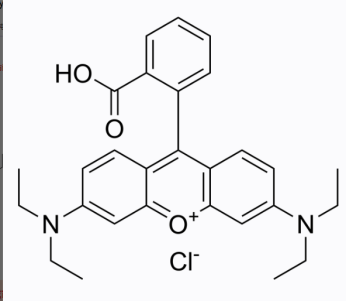 半乳糖-罗丹明B