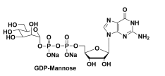 GDP-D-mannose 5'-二磷酸鸟嘌呤核苷-甘露糖二钠盐
