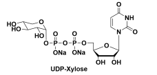 UDP-D-木糖 UDP-Xylose Uridine 5'-(trihydrogen diphosphate), P'-α-D-xylopyranosyl ester 