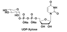 UDP-Xyl.2Na 尿苷二磷酸木糖,钠盐，108320-89-4，3616-06-6