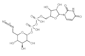 双磷酸尿苷-6-叠氮-6-脱氧-D-葡糖酯,CAS:537039-67-1，UDP-6-N3-Glucose
