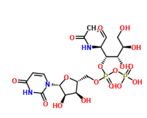 UDP-6-N3-GalNAc，多肽N-乙酰氨基半乳糖转移酶，cas7277-98-7