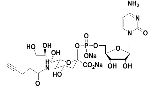 炔基修饰的CMP-唾液酸，CMP-C5-alkynyl-Sialic Acid 