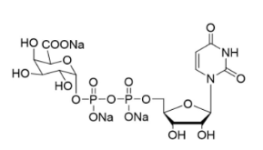 尿苷5′-二磷酸三钠盐二钠盐，UDP-GalA.3Na，Uridine5'-diphospho-galuronicacidtrisodium